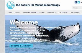 Image result for Marine Mammal Science