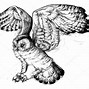 Image result for Flying Owl Prop