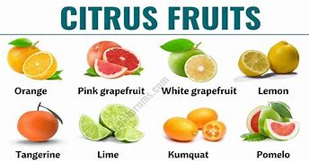 Image result for Name All Citrus Fruits