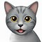 Image result for Tabby Gray Cat Emoji