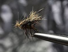 Image result for Fly Fishing Tying