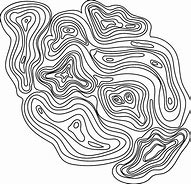 Image result for Topography Line Art