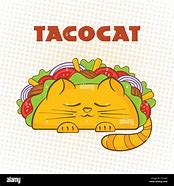 Image result for Mexican Taco Cat