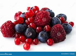 Image result for Wild Berry Leaf