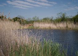 Image result for Cedar Ridge Preserve Dallas