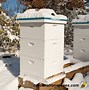 Image result for DIY Bee Hive