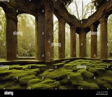 Image result for Ancient Old Moss-Covered City