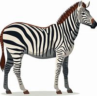 Image result for Mara Animal Cartoon