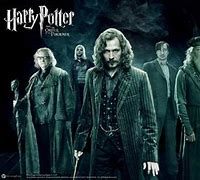 Image result for The Order of the Phoenix Outline