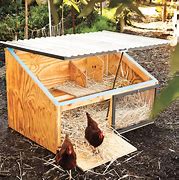 Image result for Chicken Pen Ideas