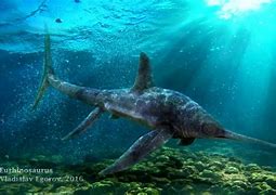 Image result for Eurhinosaurus