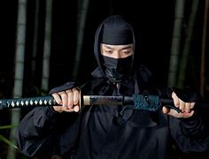 Image result for Ninja Korea