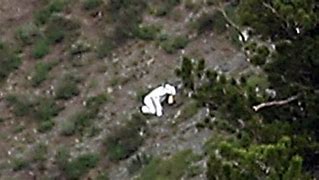 Image result for Goat Man Utah