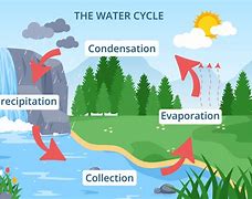 Image result for Water Cycle Illustration