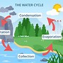 Image result for Water Cycle Illustration