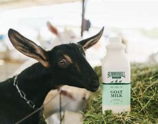 Image result for Goat Milk Recipes