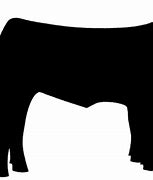 Image result for Angus Bull Clip Art