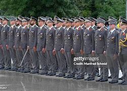 Image result for Austrian Army Guards