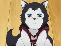 Image result for Anime Characters in Dog Form