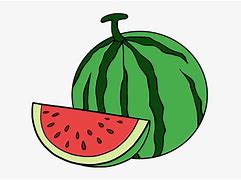 Image result for How to Draw Watermelon