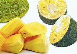 Image result for Warna Buah Nangka