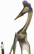 Image result for Biggest Flying Dinosaur