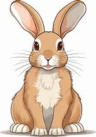 Image result for Cottontail Rabbit Animal Illustration