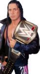 Image result for Bret Hart Attire PNG