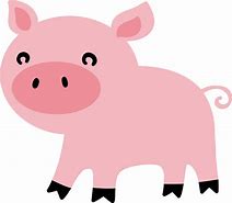 Image result for Cute Pig PNG