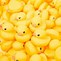 Image result for Yellow Rubber Duck