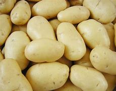 Image result for Batata Mamita