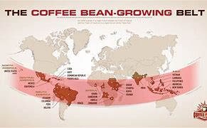 Image result for Coffee Bean Map