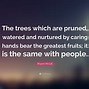 Image result for Quotes About Being Caring