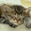 Image result for Cute CAG