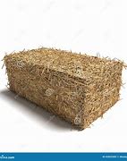 Image result for Hay Shoe