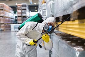 Image result for Pest Control Services Images