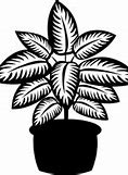 Image result for Clip Art of Plants Black and White