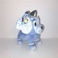 Image result for Bluey Socks Plush