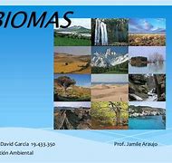 Image result for Ideas De Titulos De Los Biomas