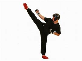 Image result for Kickboxing Clip Art