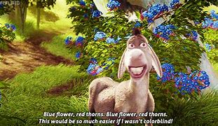 Image result for Shrek Donkey All Alone GIF