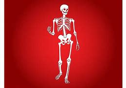 Image result for Skeleton Bling