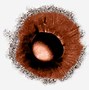 Image result for 16K Eye Texture