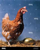 Image result for The Goalen Egg with Hen