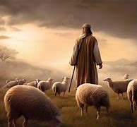 Image result for I Hear You Jesus I'm Coming Sheep