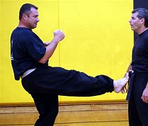 Image result for Front Kick by Mea Geri