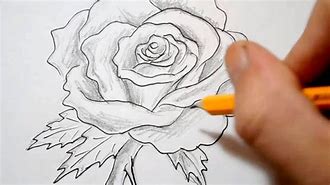 Image result for Drawn Roses Images