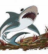 Image result for Bull Shark Clip Art