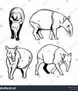 Image result for Tapir Fighting Art