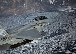 Image result for F-15 Eagle Camo